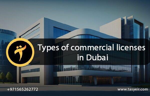 Types of commercial licenses in Dubai commercial license issuance